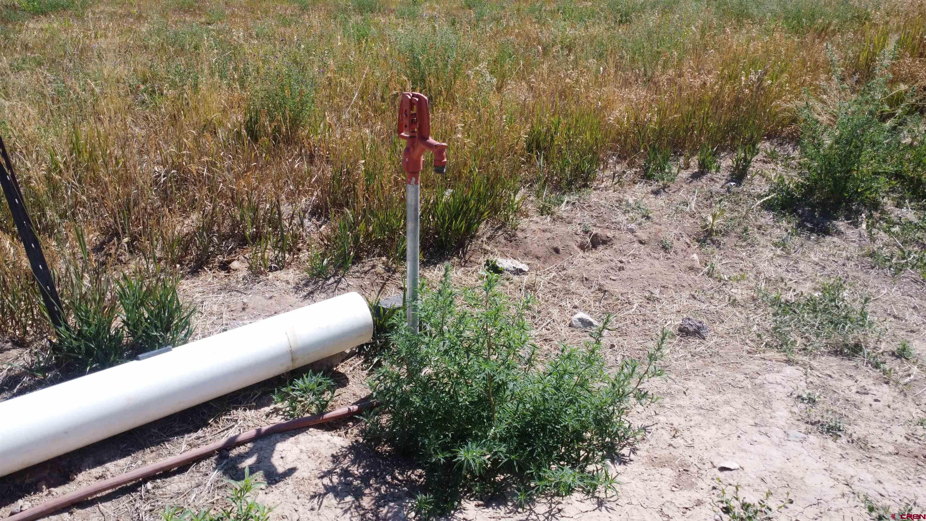 No Address No Address J Road Hotchkiss, CO 81419 - Photo 15 of 17 a view of a yard with plants and wooden fence