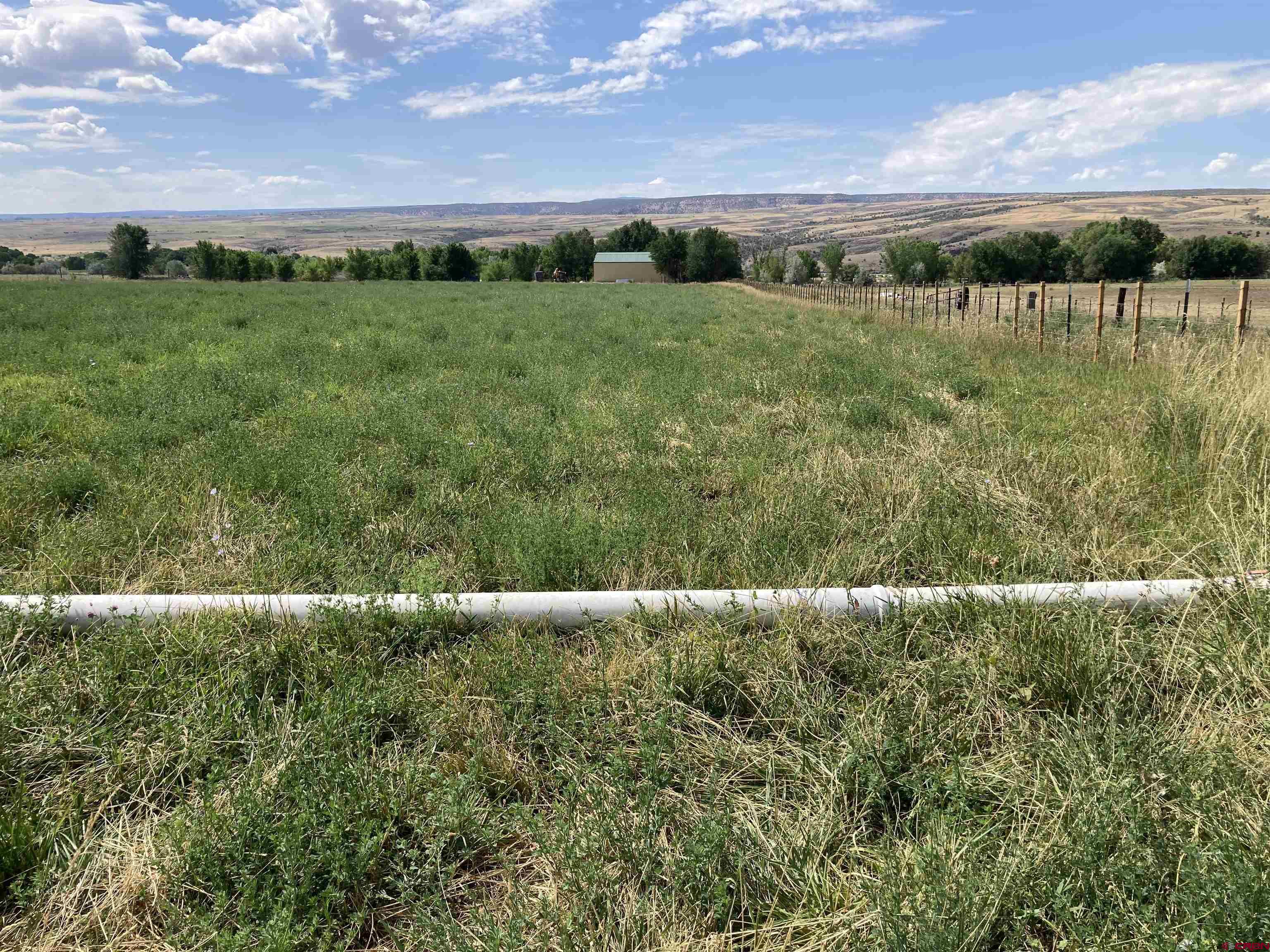 No Address No Address J Road Hotchkiss, CO 81419 - Photo 2 of 17