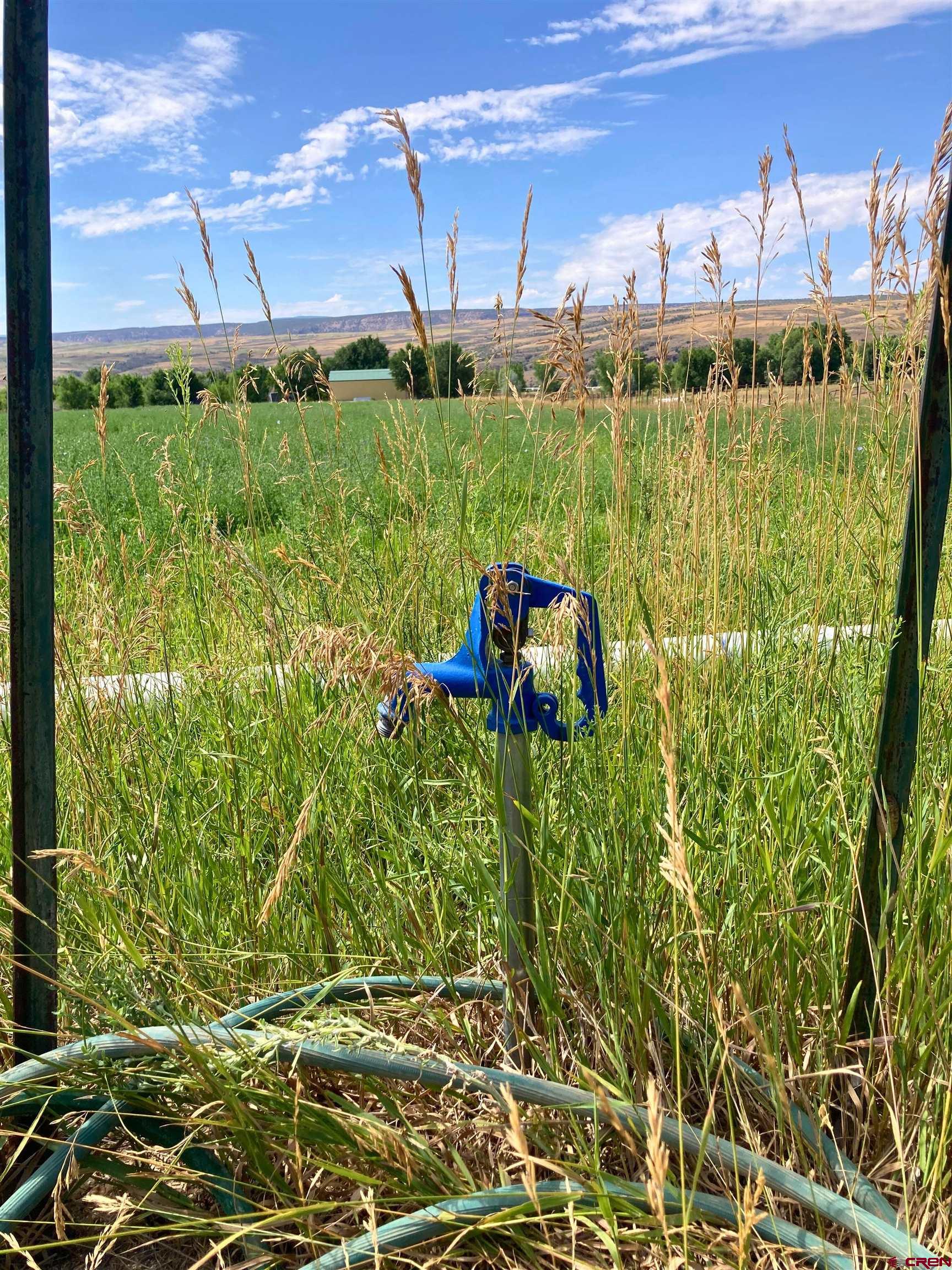 No Address No Address J Road Hotchkiss, CO 81419 - Photo 3 of 17 a view of a back yard from a lake