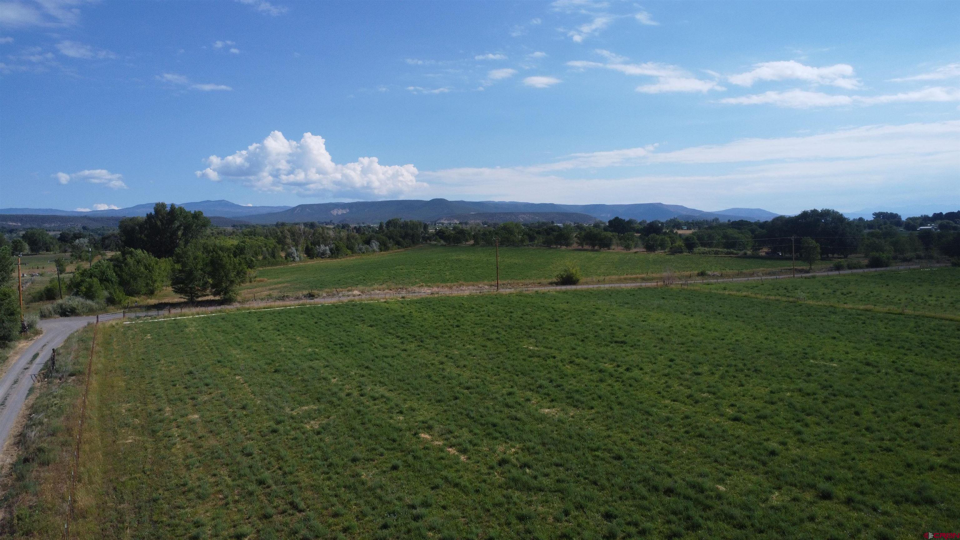 No Address No Address J Road Hotchkiss, CO 81419 - Photo 5 of 17 a view of a golf course with a lake