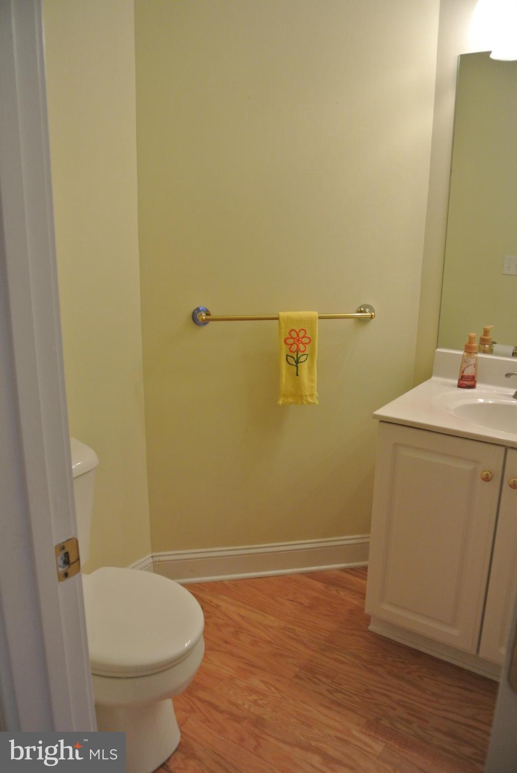 629 Country Club Road Culpeper, VA 22701 - Photo 12 of 23 Powder room on 1st Floor for guests