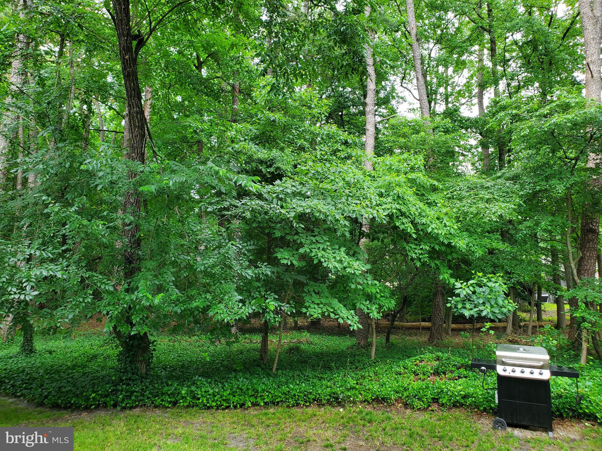 61 Taunton Road Medford, NJ 08055 - Photo 24 of 46
