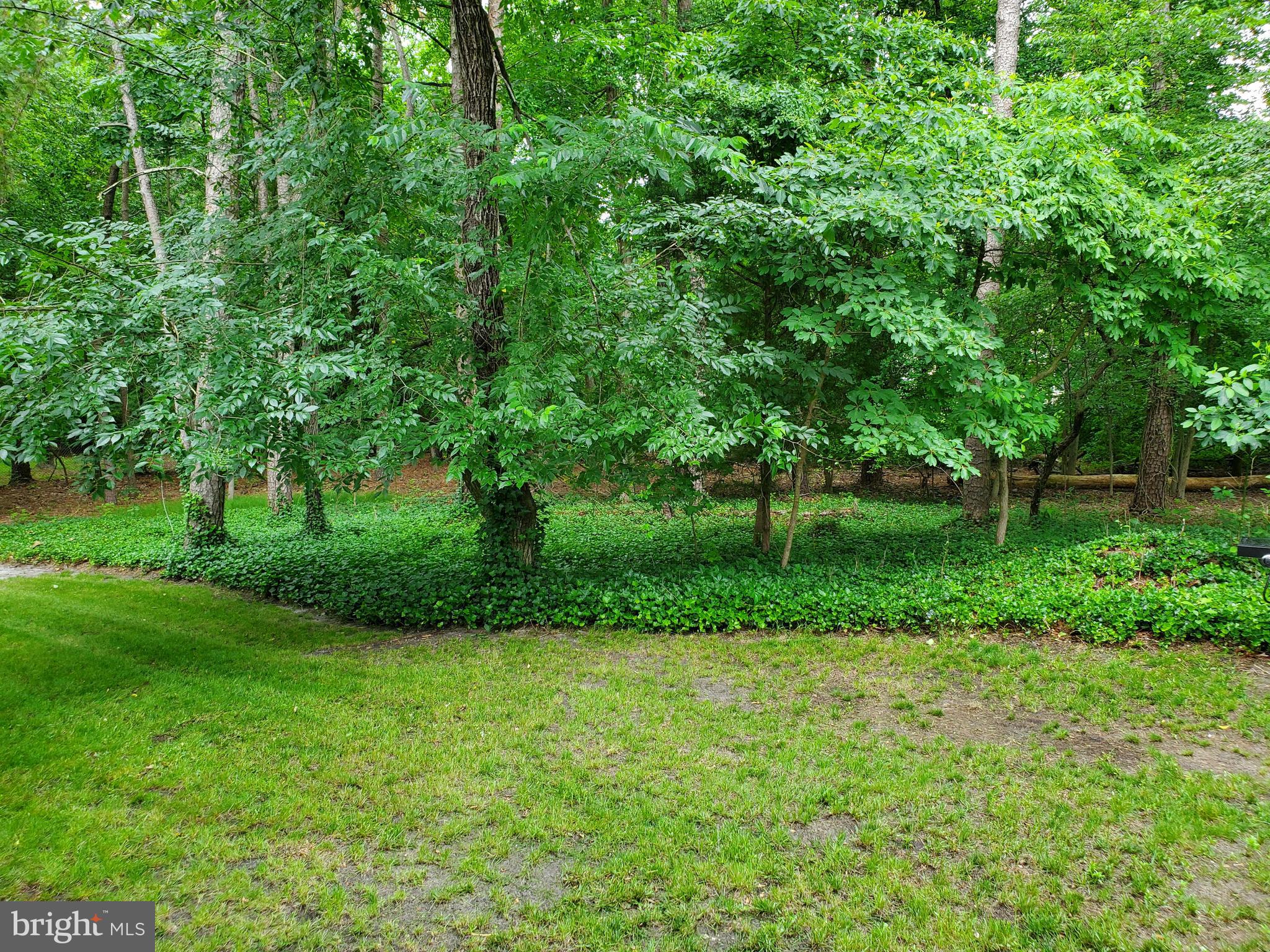 61 Taunton Road Medford, NJ 08055 - Photo 26 of 46