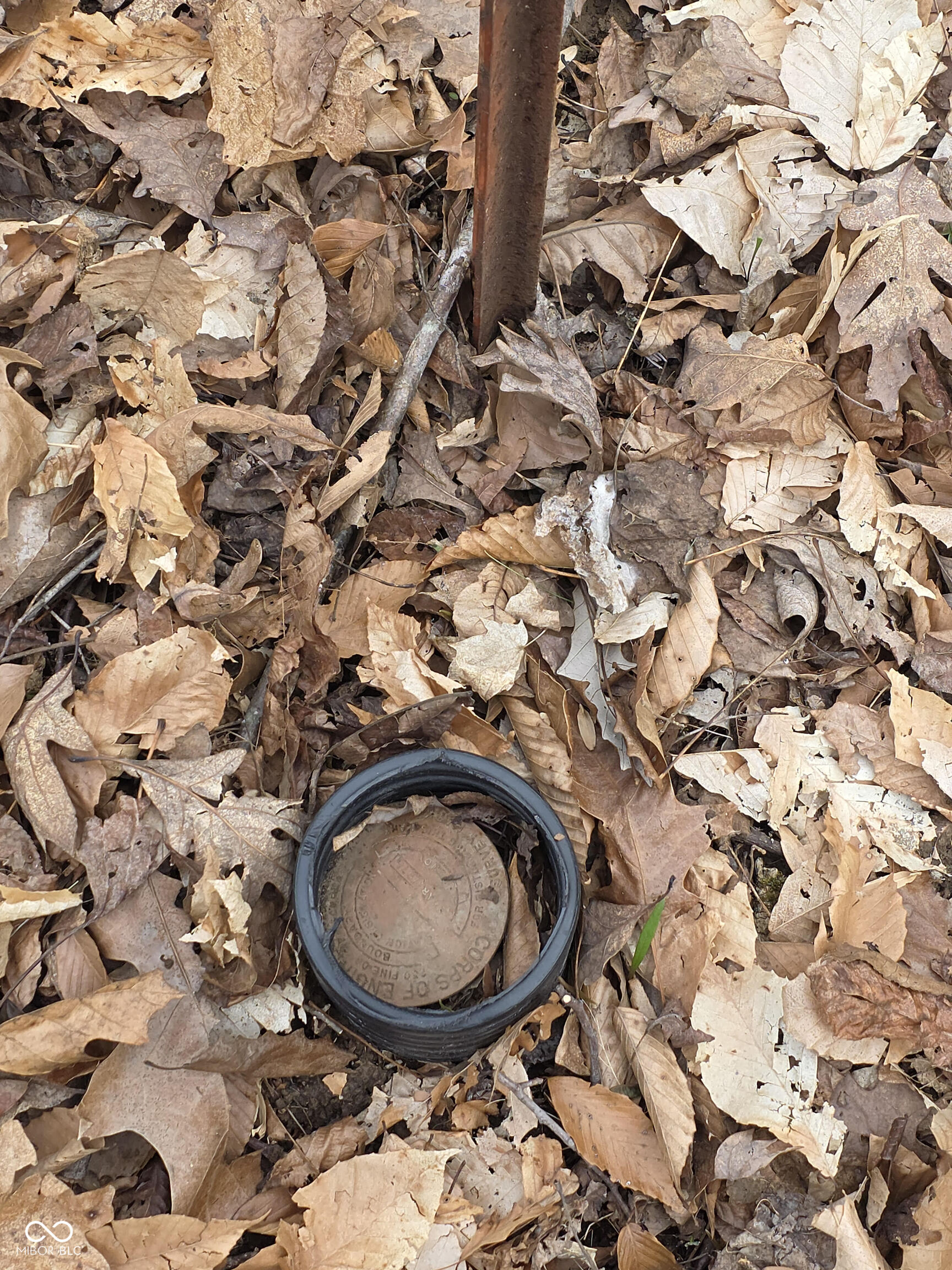 11088 Camp Otto Road Cloverdale, IN 46120 - Photo 52 of 57