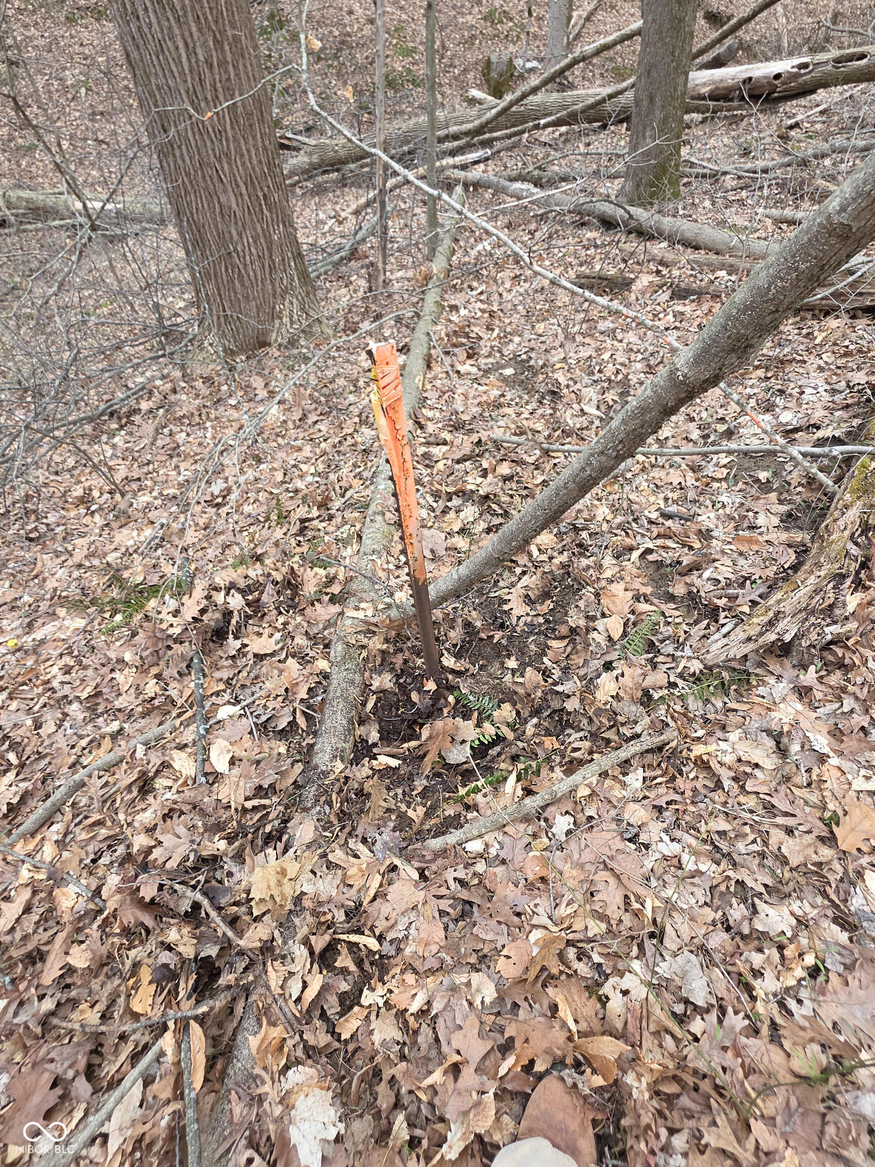 11088 Camp Otto Road Cloverdale, IN 46120 - Photo 53 of 57