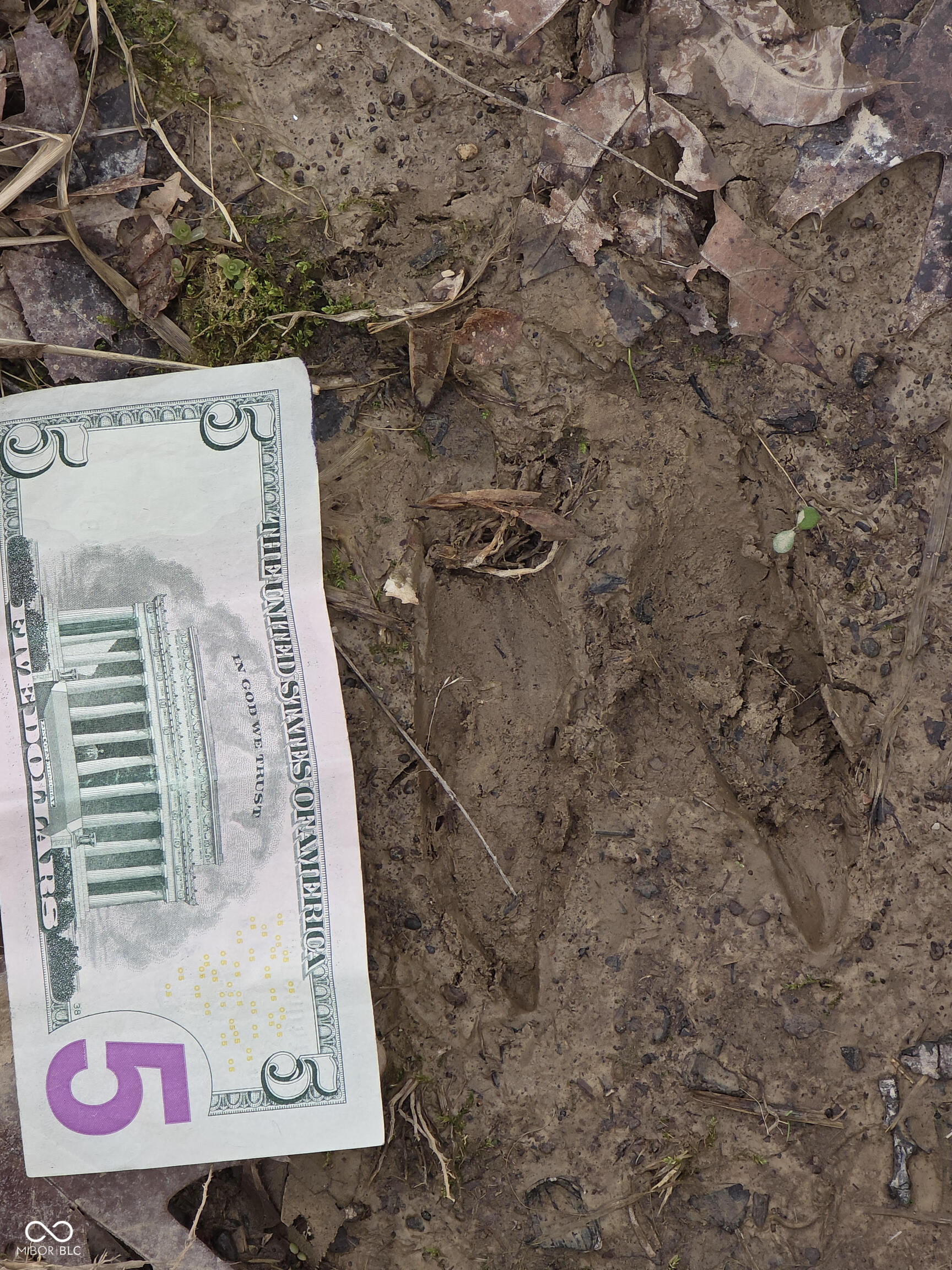 11088 Camp Otto Road Cloverdale, IN 46120 - Photo 56 of 57