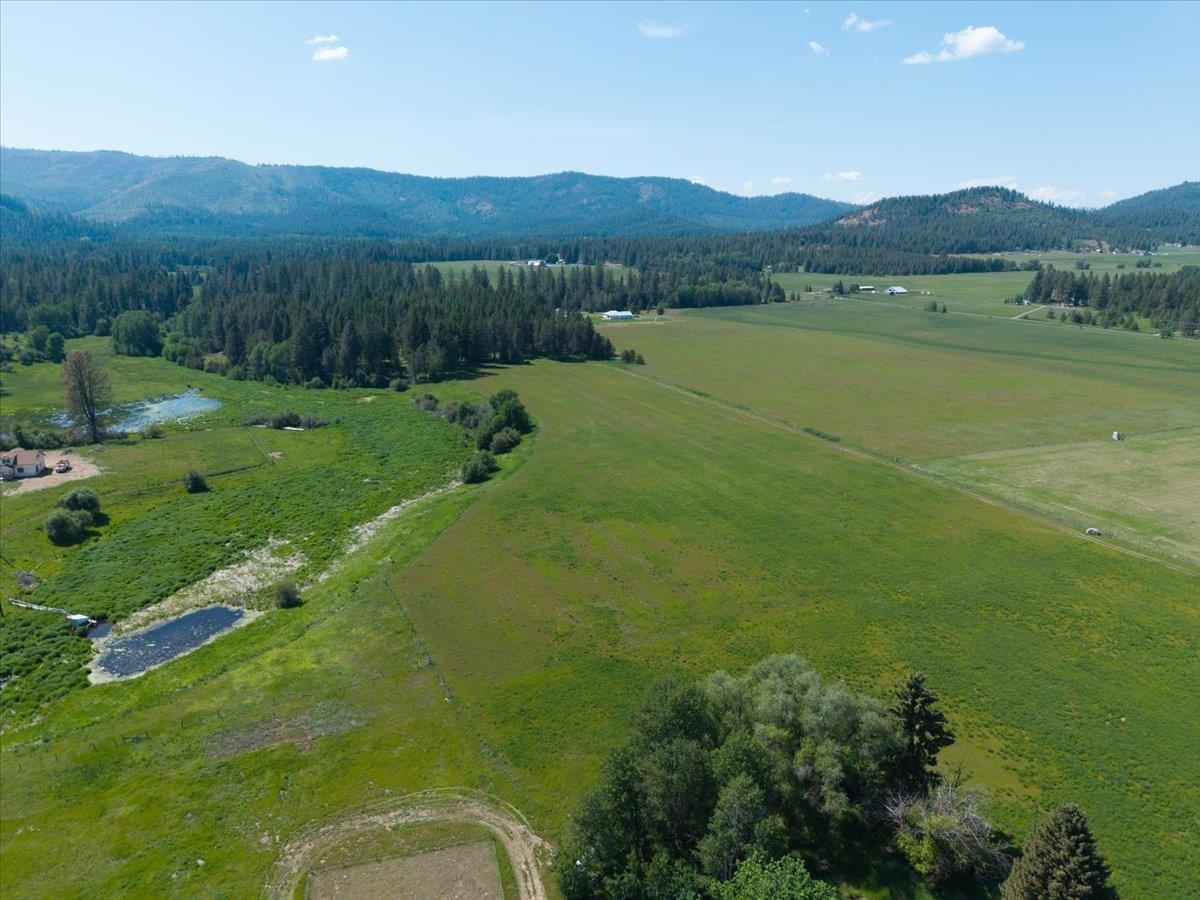 4668 Williams Valley Road Clayton, WA 99110 - Photo 24 of 44