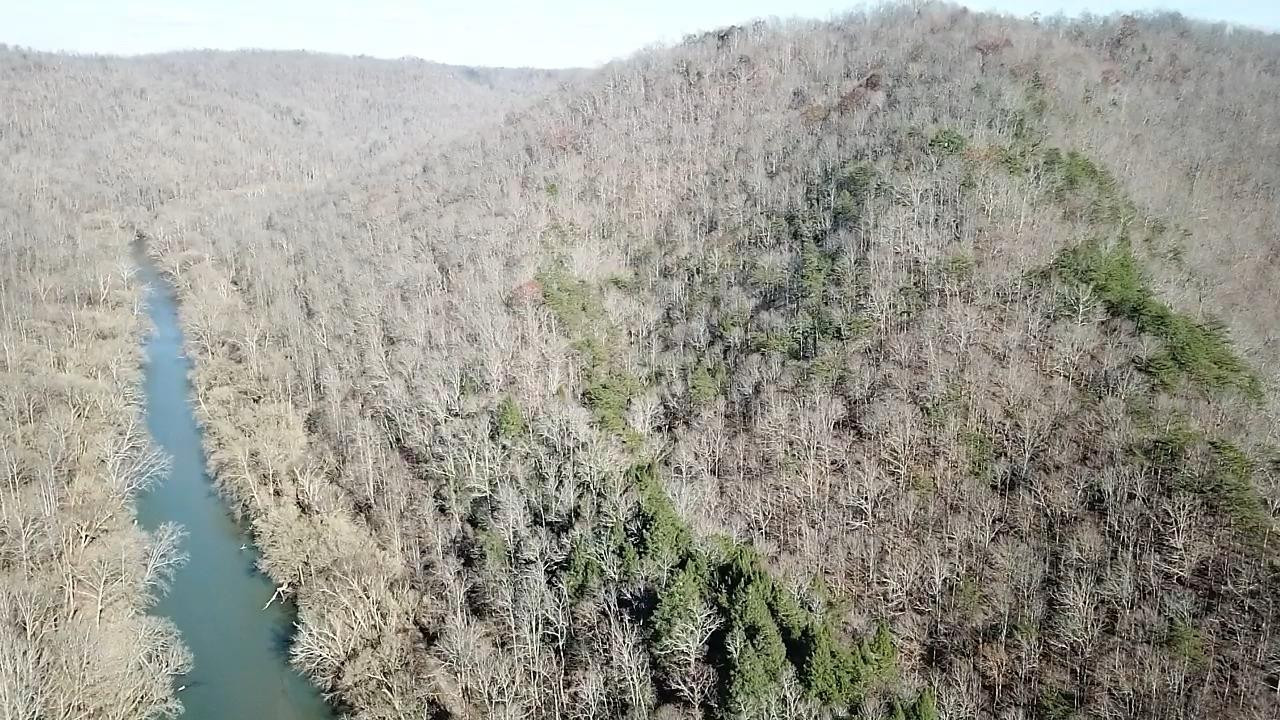 9999 Bishop Bend Road Oneida, KY 40972 - Photo 8 of 22 Photo 8