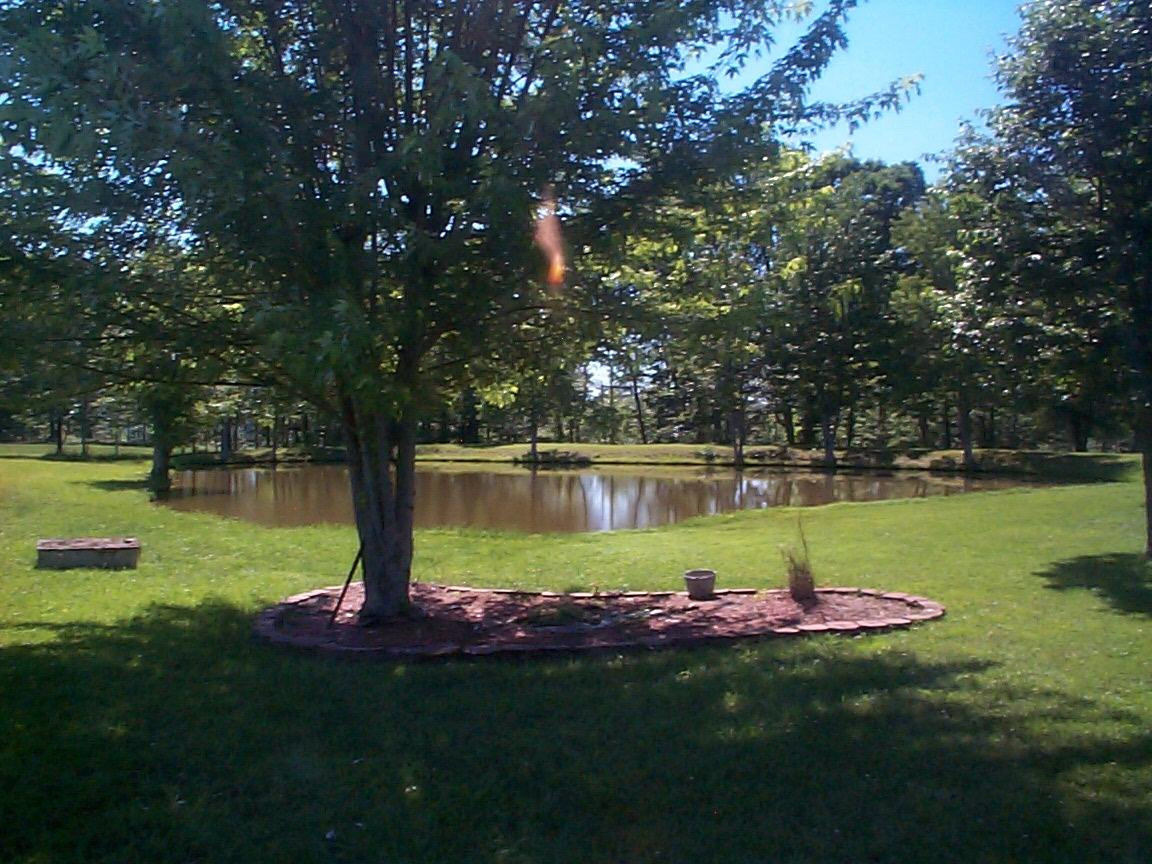 29 Johnson Flat Road Hillsboro, KY 41049 - Photo 7 of 10 Photo 7