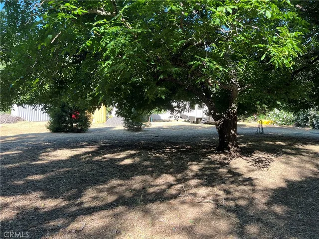 a view of dirt yard with a tree
