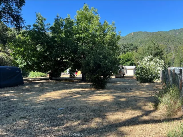 a view of a yard with trees
