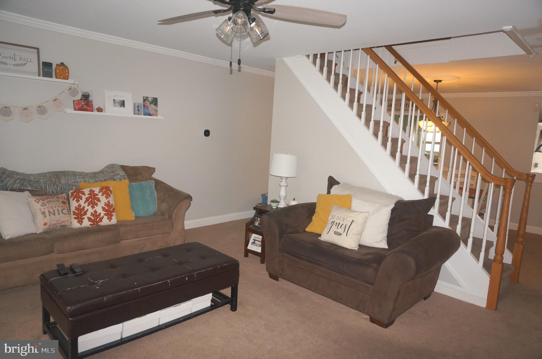 3599 C Nottingham Lane Philadelphia, PA 19114 - Photo 20 of 58 a living room with furniture and a potted plant