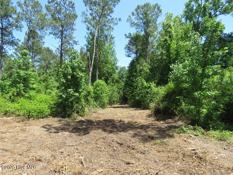 5214 Andrew Jac Chadbourn, NC 28431 - Photo 11 of 18 IMG_6854