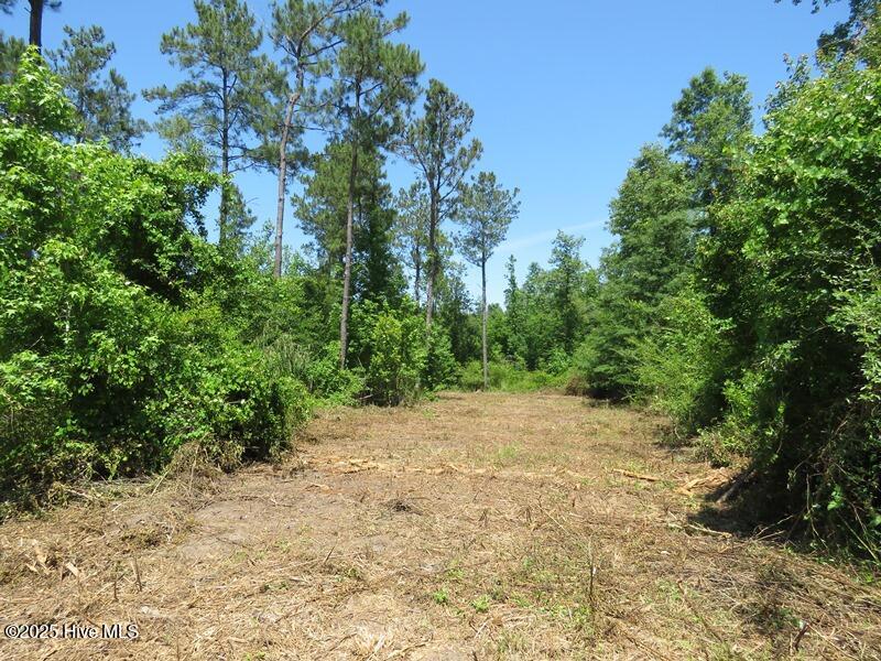 5214 Andrew Jac Chadbourn, NC 28431 - Photo 13 of 18 IMG_6857