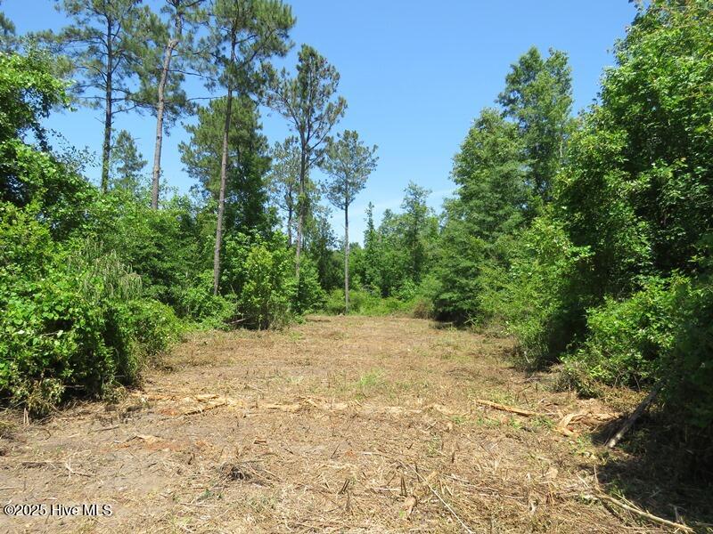 5214 Andrew Jac Chadbourn, NC 28431 - Photo 15 of 18 IMG_6859