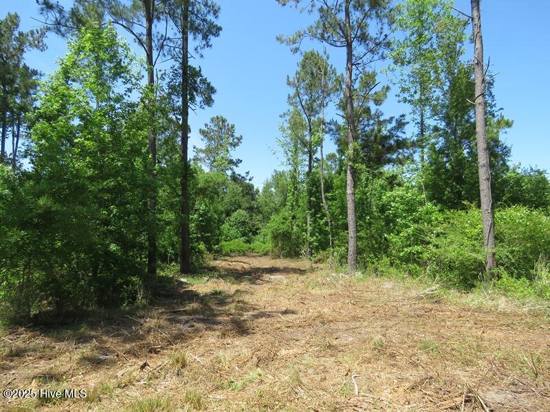 5214 Andrew Jac Chadbourn, NC 28431 - Photo 16 of 18 IMG_6860