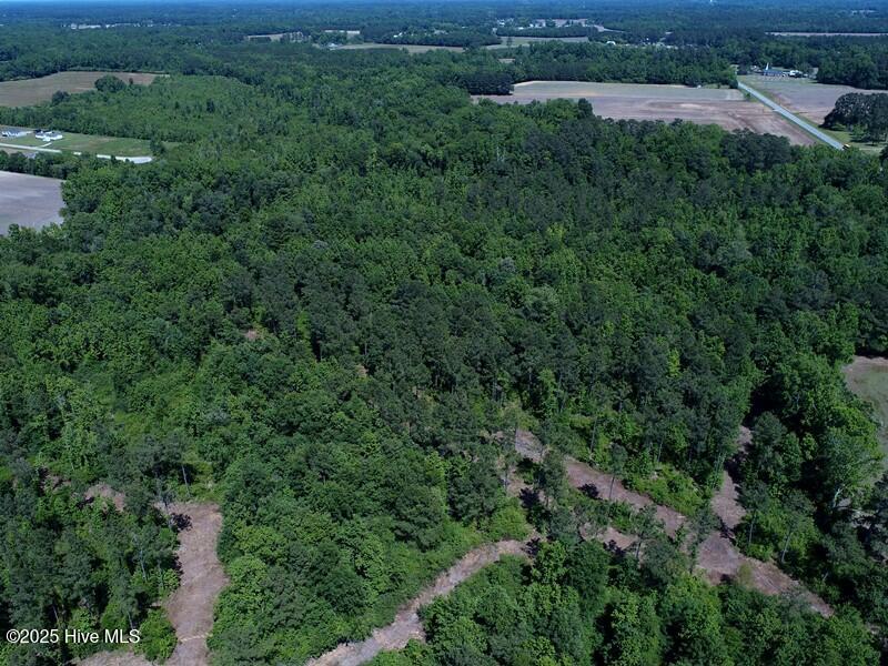 5214 Andrew Jac Chadbourn, NC 28431 - Photo 4 of 18 DJI_0819