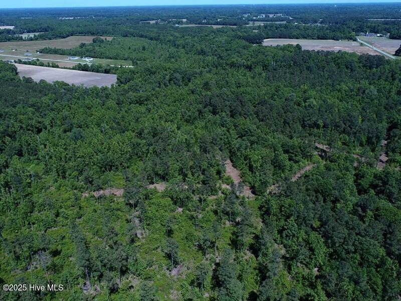 5214 Andrew Jac Chadbourn, NC 28431 - Photo 5 of 18 DJI_0820