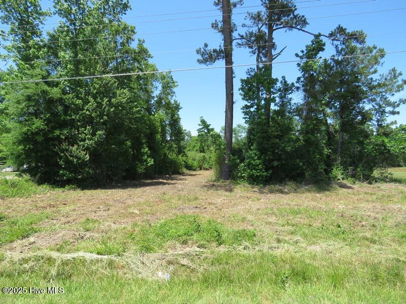 5214 Andrew Jac Chadbourn, NC 28431 - Photo 6 of 18 IMG_6848