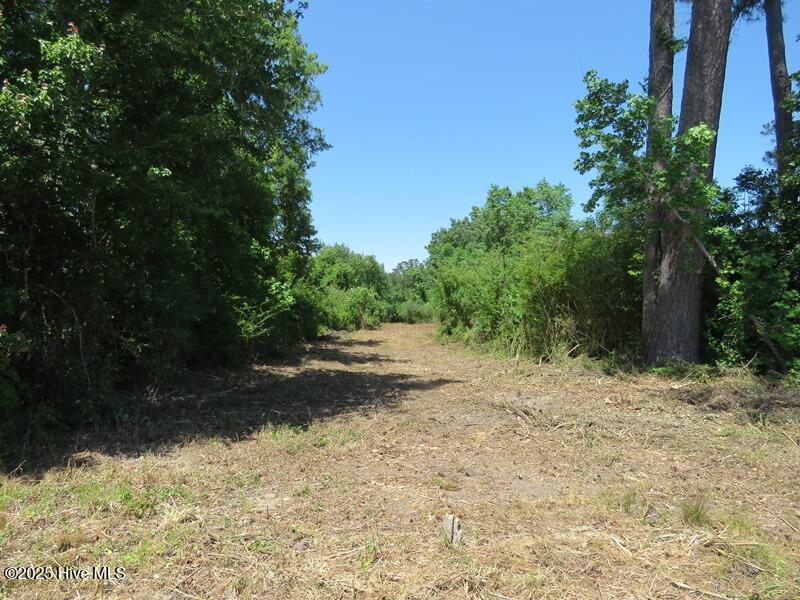 5214 Andrew Jac Chadbourn, NC 28431 - Photo 8 of 18 IMG_6851