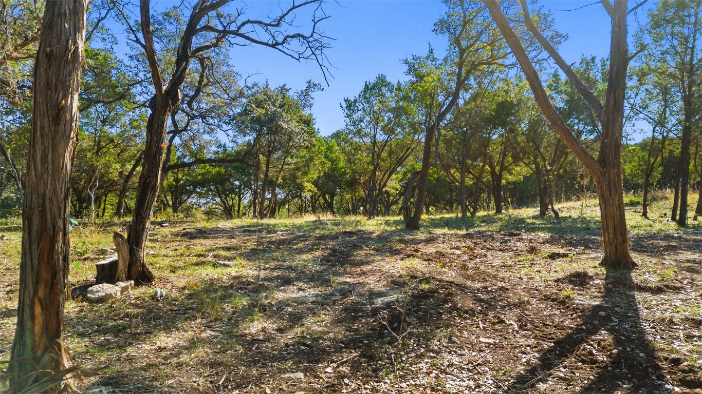 2 Martelli Lane Austin, TX 78746 - Photo 13 of 15 a view of outdoor space with trees