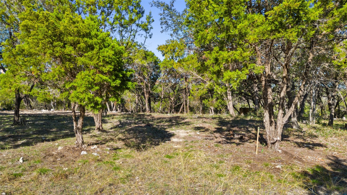 2 Martelli Lane Austin, TX 78746 - Photo 15 of 15 a backyard of a house with lots of green space