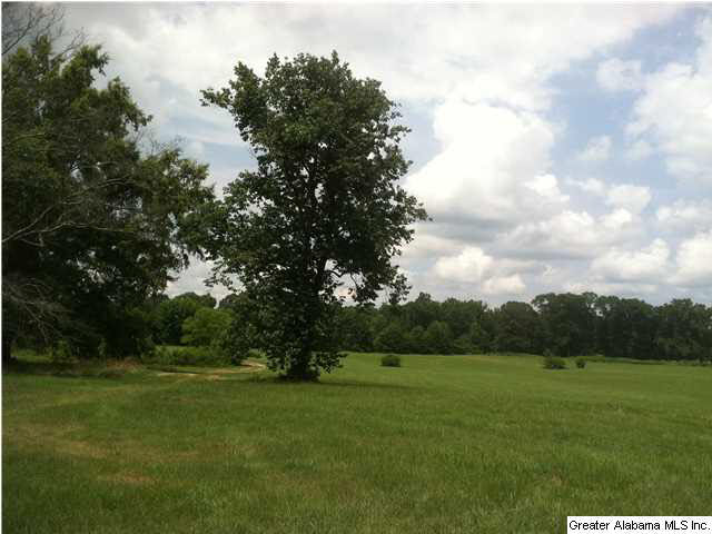 Browning Road, Unit 78 Odenville, AL 35120 - Photo 5 of 18