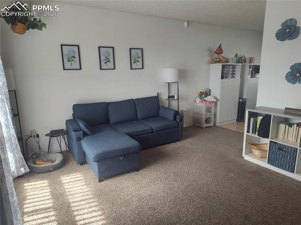 37 Massari Road Pueblo, CO 81001 - Photo 4 of 37 a living room with furniture and a book shelf