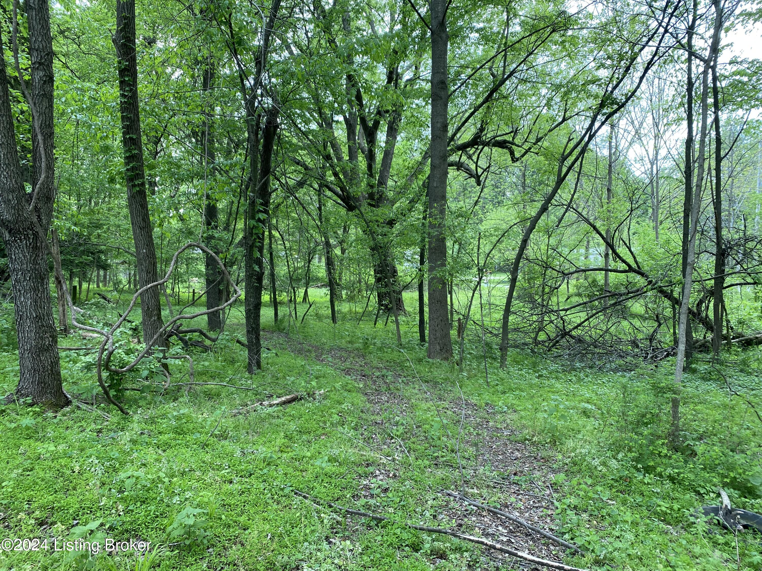 653 Boone Road Rineyville, KY 40162 - Photo 2 of 9 IMG_3063