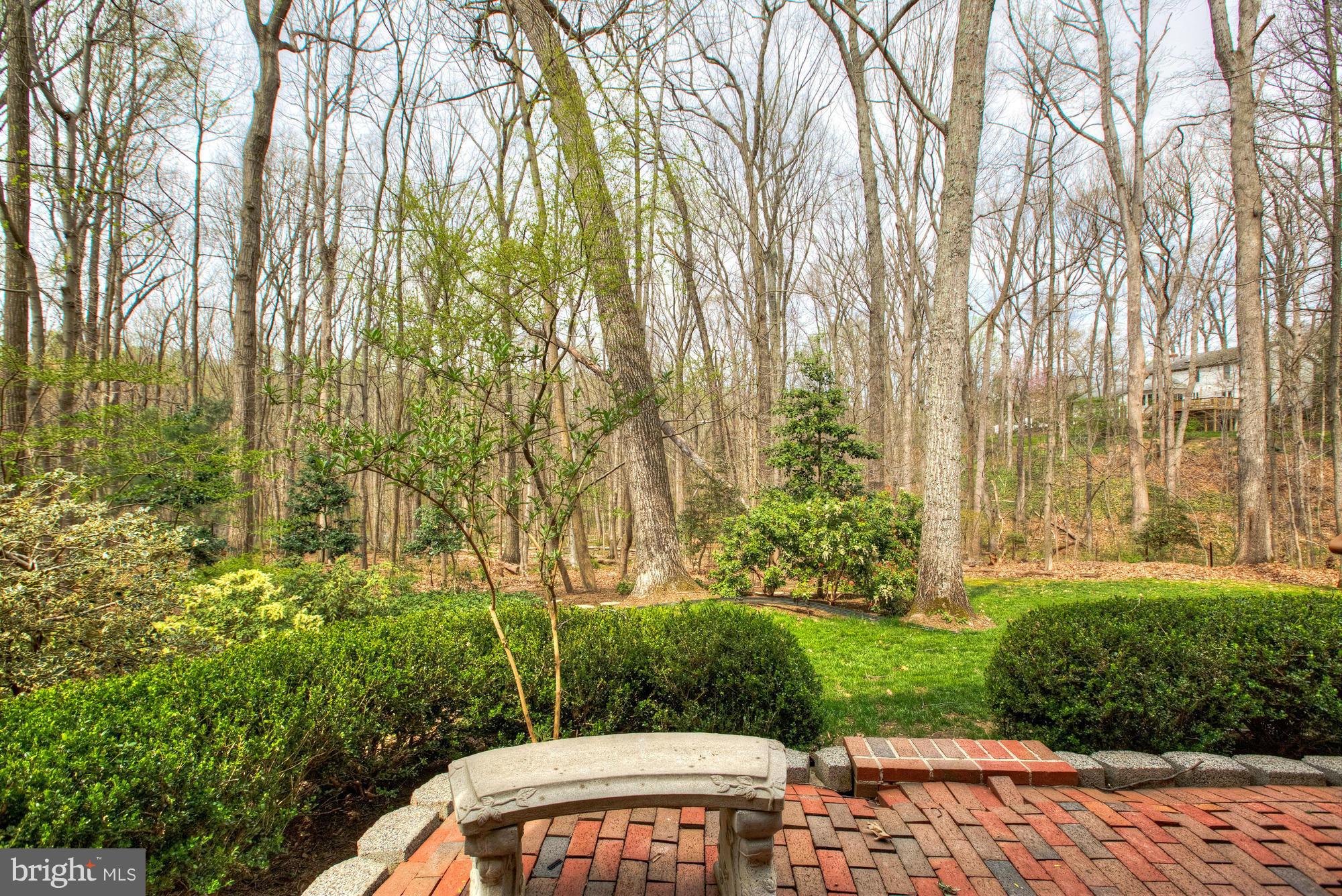 10515 Adel Road Oakton, VA 22124 - Photo 29 of 30 Exterior (Rear)