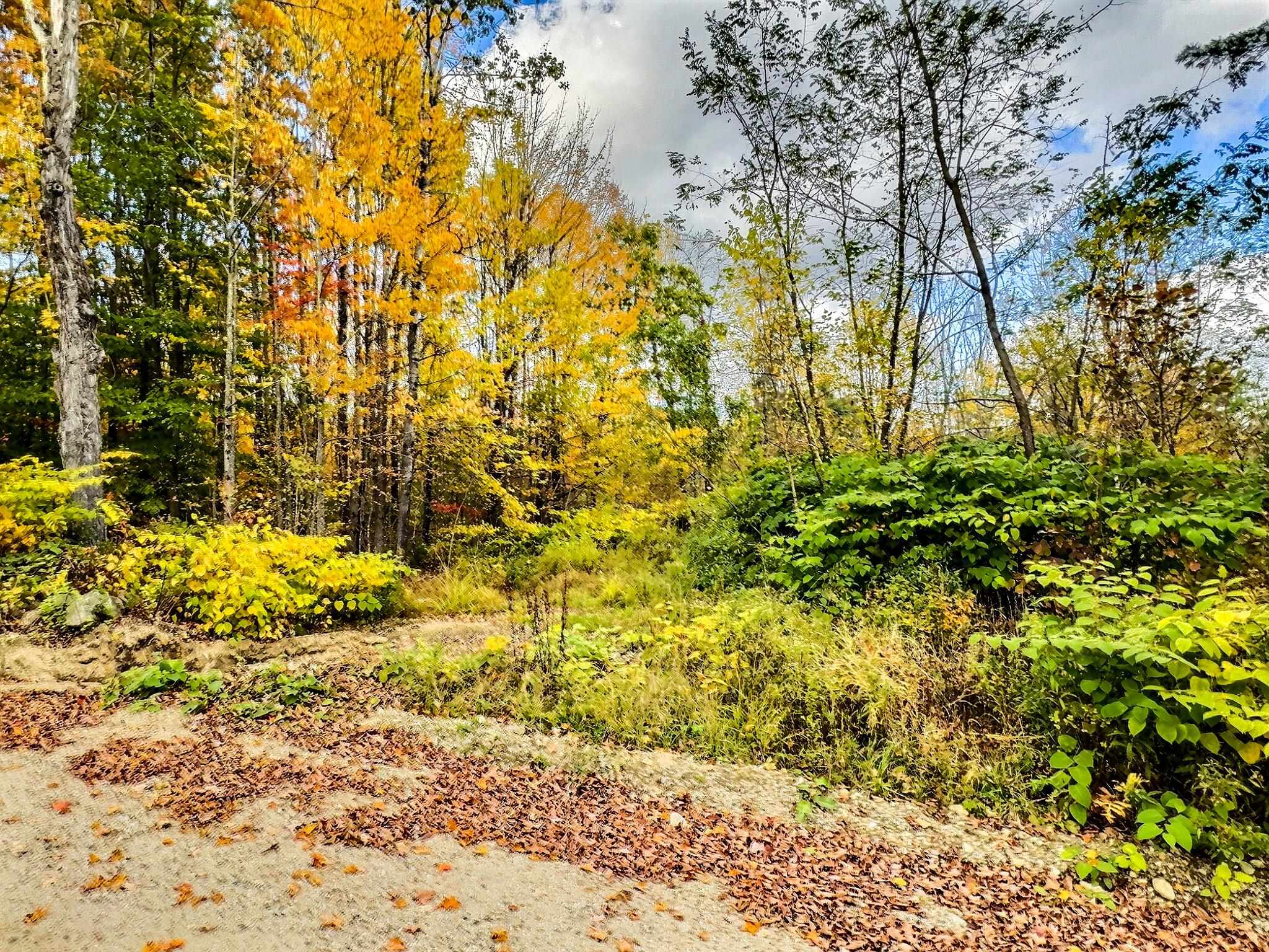 370 Tucker Mountain Road Andover, NH 03216 - Photo 19 of 22