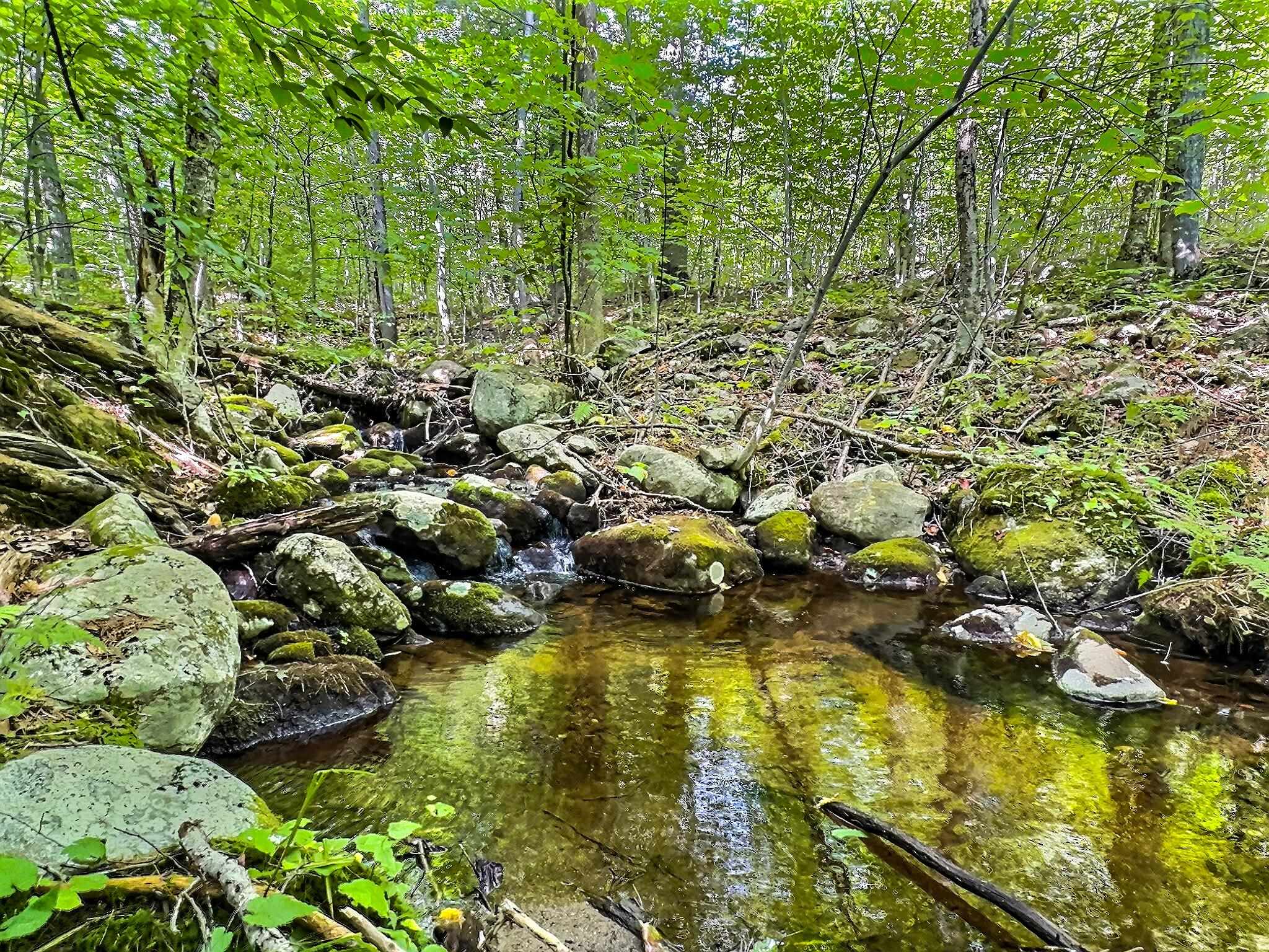 370 Tucker Mountain Road Andover, NH 03216 - Photo 3 of 22