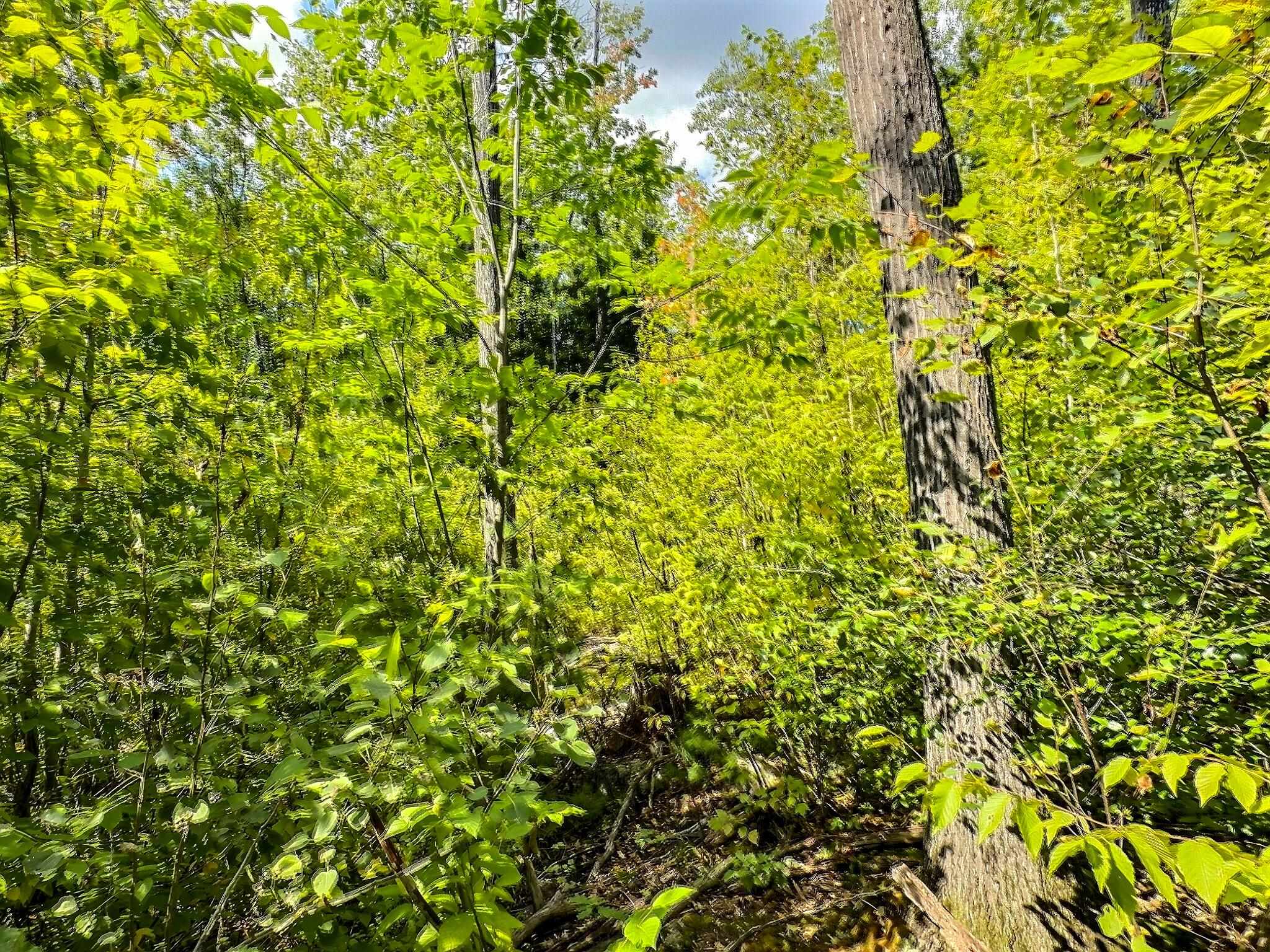 370 Tucker Mountain Road Andover, NH 03216 - Photo 4 of 22