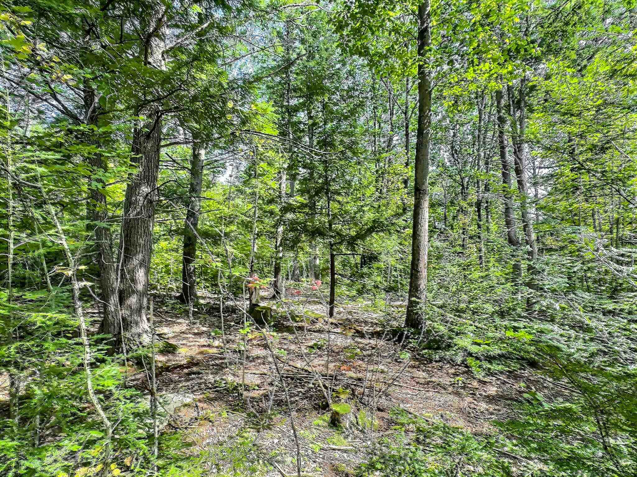 370 Tucker Mountain Road Andover, NH 03216 - Photo 5 of 22