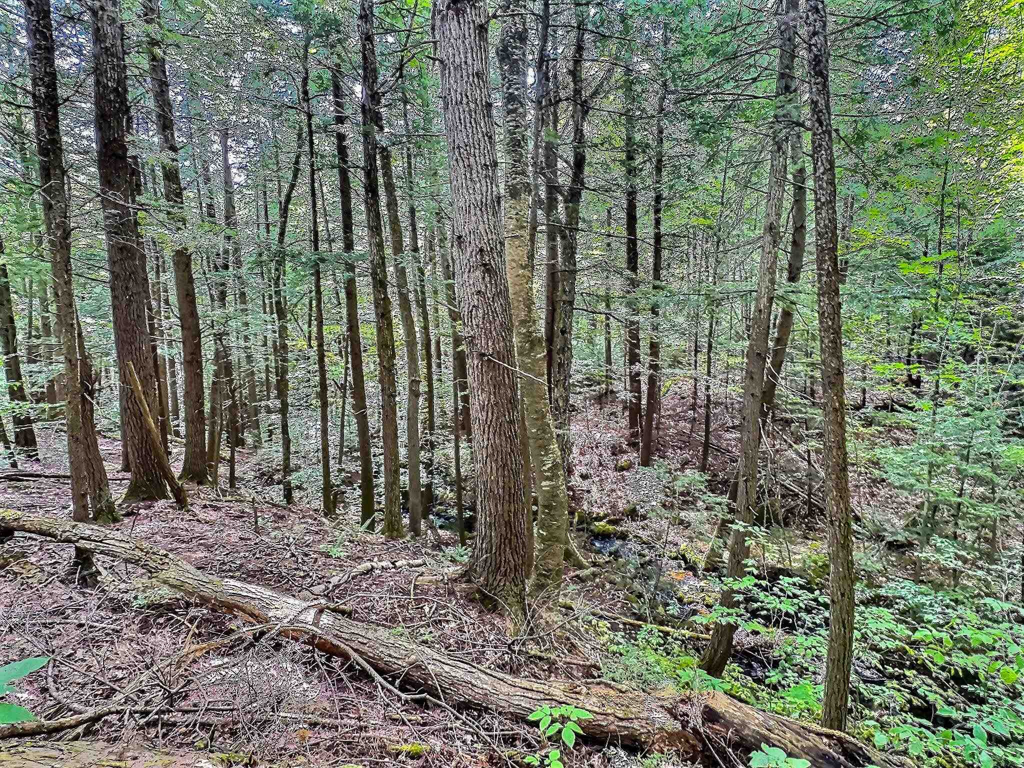 370 Tucker Mountain Road Andover, NH 03216 - Photo 6 of 22
