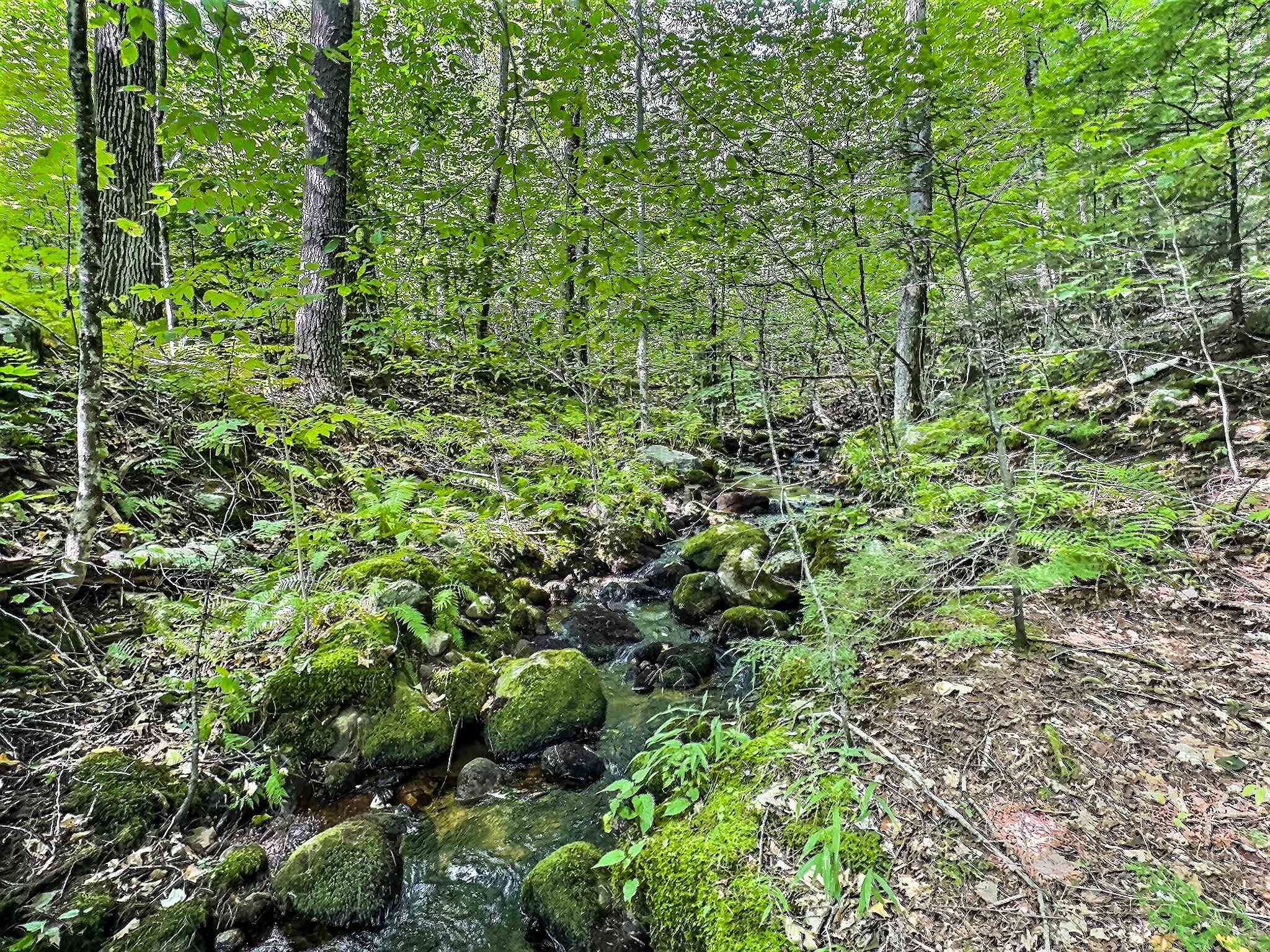 370 Tucker Mountain Road Andover, NH 03216 - Photo 7 of 22