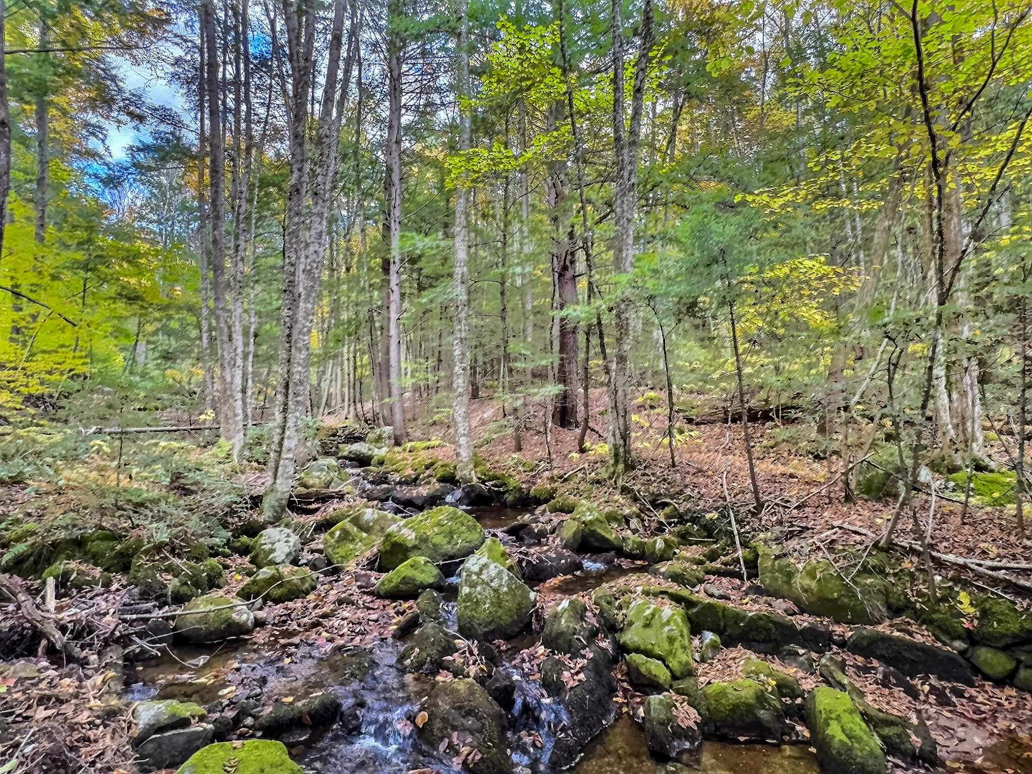 370 Tucker Mountain Road Andover, NH 03216 - Photo 8 of 22