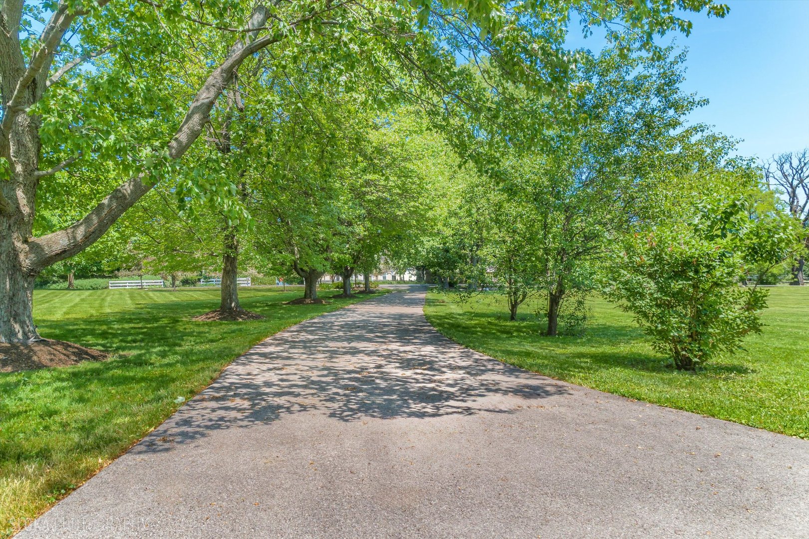 209 Spring Creek Road Barrington Hills, IL 60010 - Photo 4 of 79
