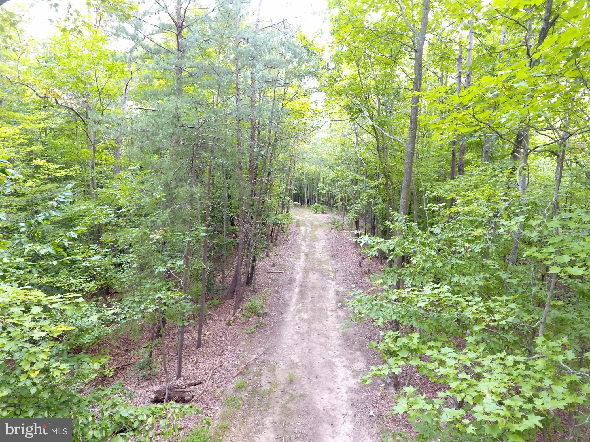 5379 Sheridan Point Road Prince Frederick, MD 20678 - Photo 13 of 20 Logging Road
