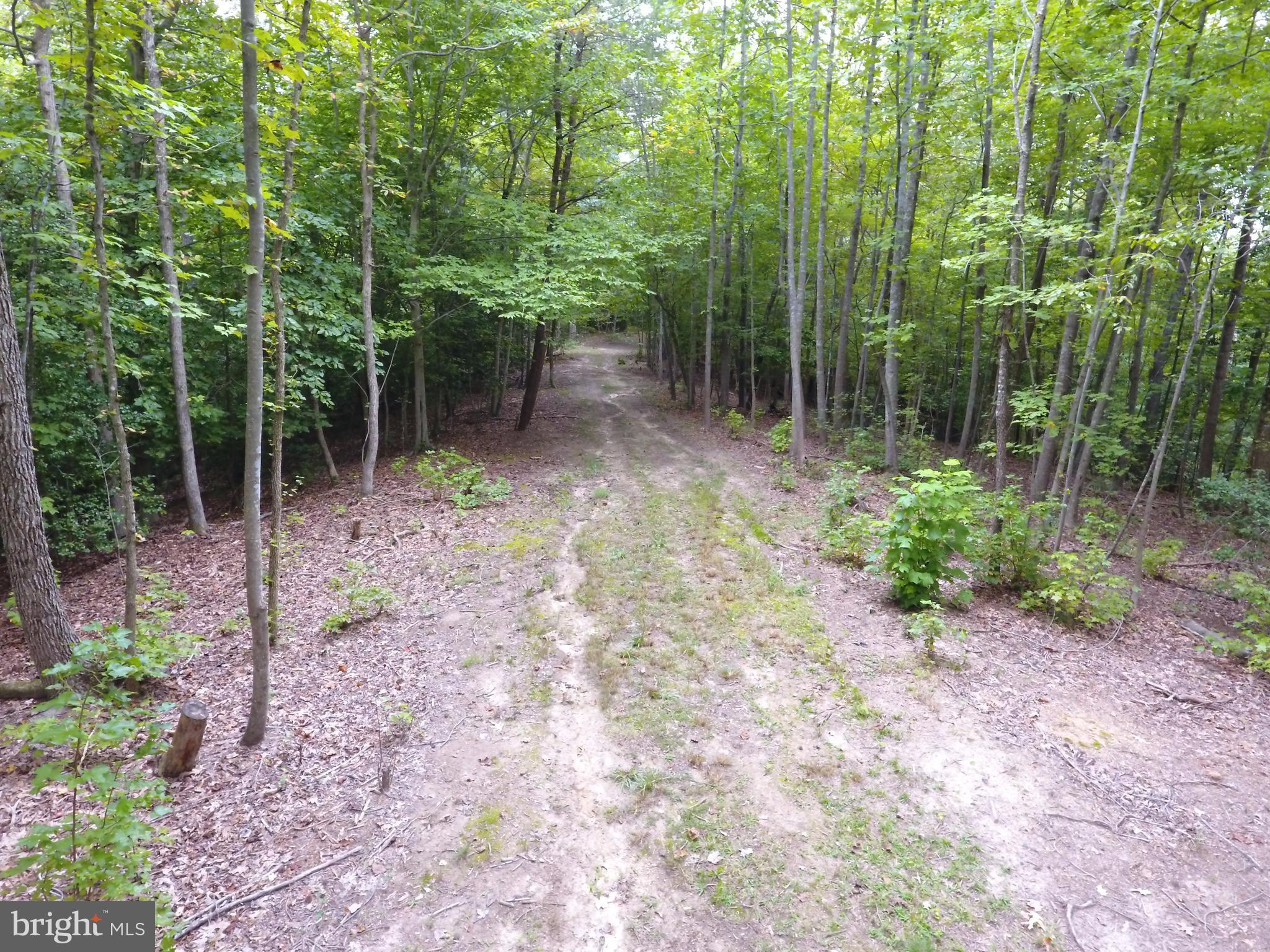 5379 Sheridan Point Road Prince Frederick, MD 20678 - Photo 14 of 20 Logging Road