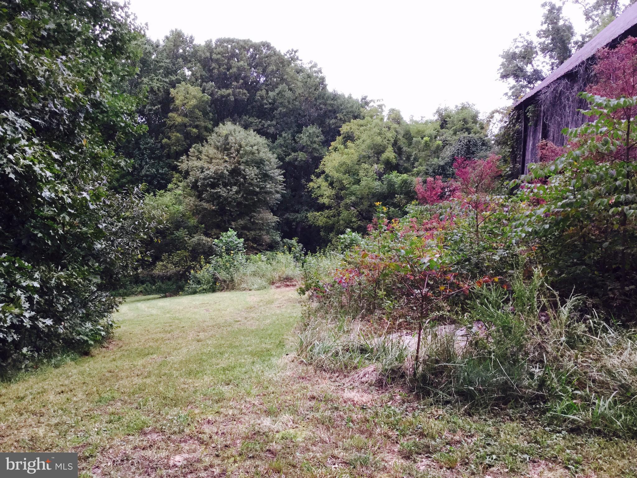 5379 Sheridan Point Road Prince Frederick, MD 20678 - Photo 19 of 20 Front Property Line Behind Barn