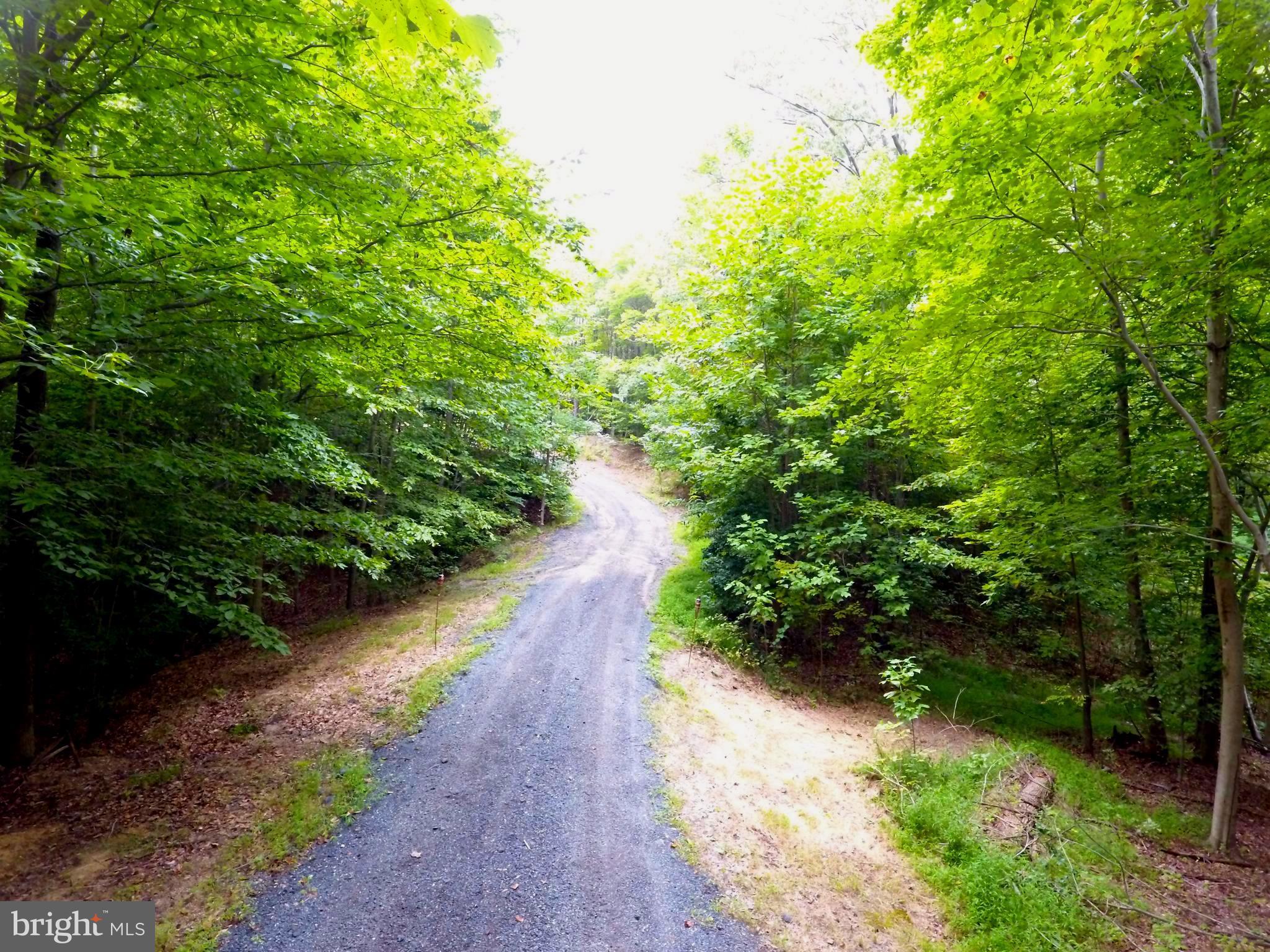 5379 Sheridan Point Road Prince Frederick, MD 20678 - Photo 4 of 20 Road to Building Site