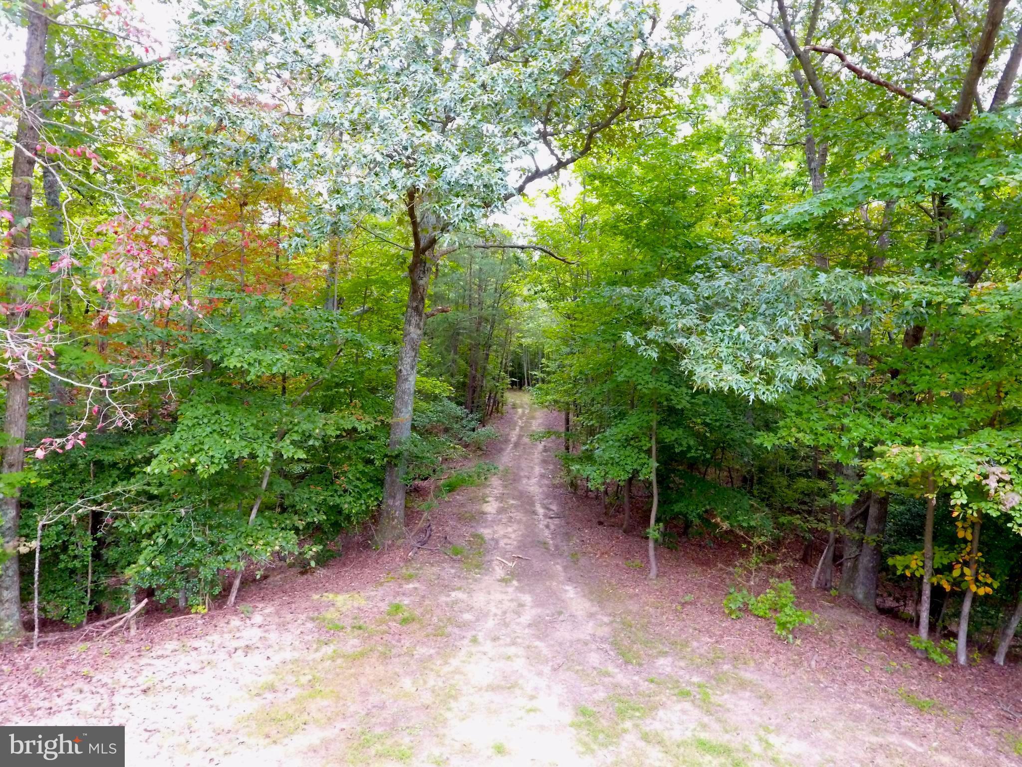 5379 Sheridan Point Road Prince Frederick, MD 20678 - Photo 7 of 20 Entrance to Logging Road