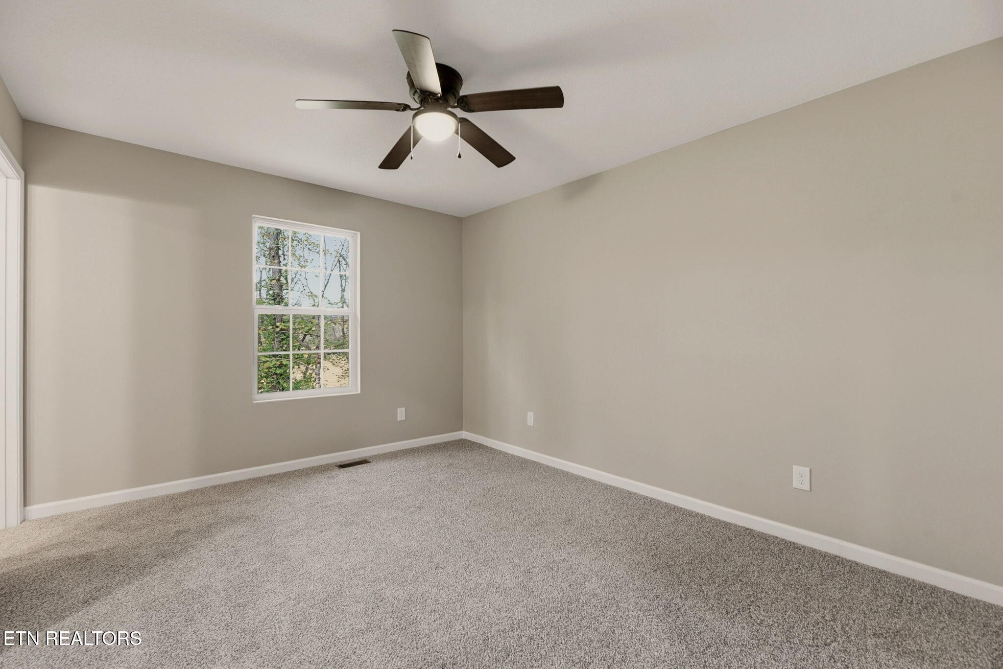 705 New Clear Branch Road Rocky Top, TN 37769 - Photo 12 of 28