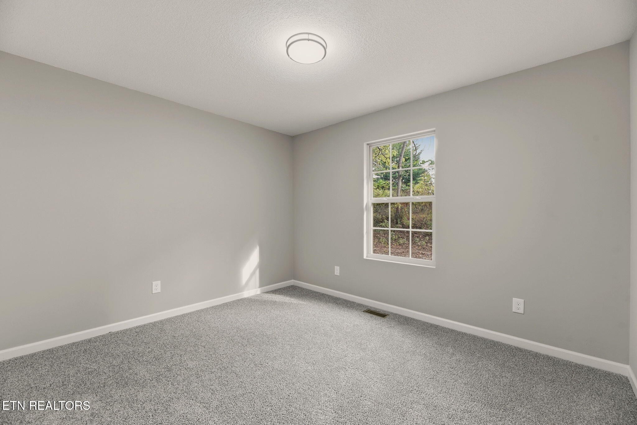 705 New Clear Branch Road Rocky Top, TN 37769 - Photo 16 of 28