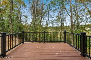 705 New Clear Branch Road Rocky Top, TN 37769 - Photo 23 of 28