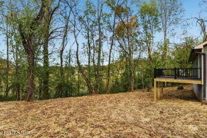 705 New Clear Branch Road Rocky Top, TN 37769 - Photo 24 of 28