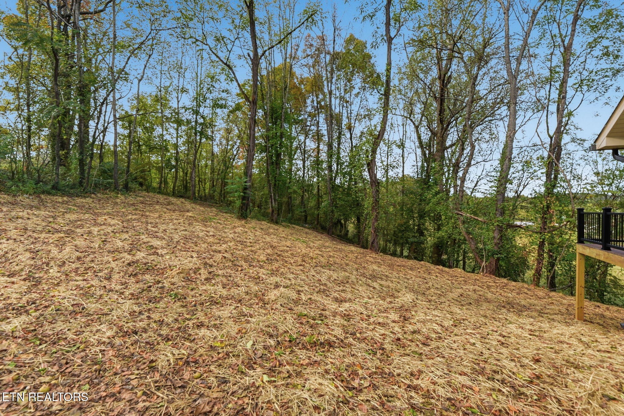 705 New Clear Branch Road Rocky Top, TN 37769 - Photo 25 of 28