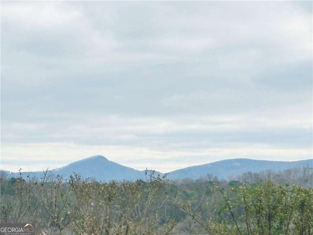 0 Bryant Road Fairmount, GA 30734 - Photo 4 of 4 an aerial view of houses covered in trees
