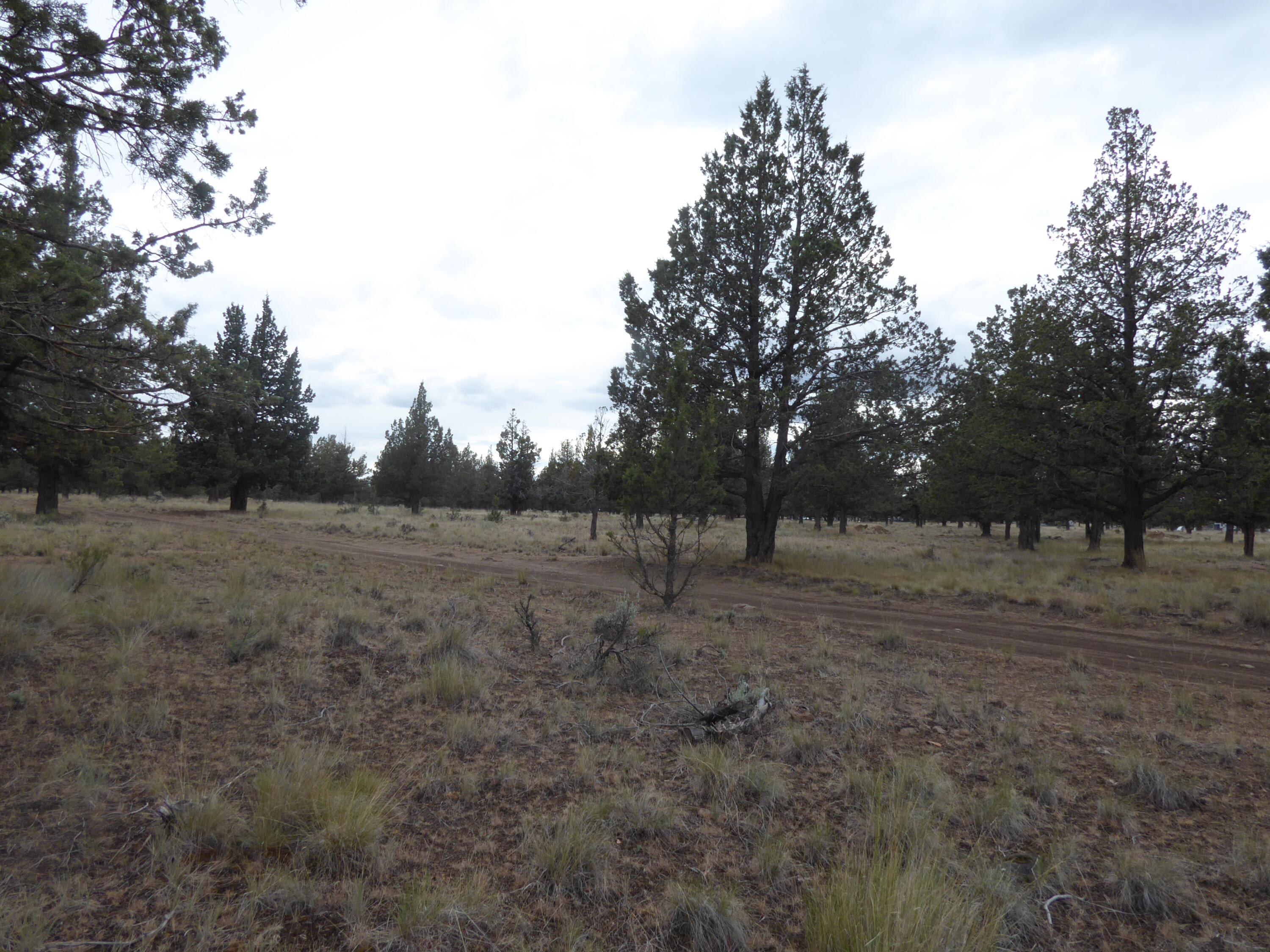 2 Southwest Jordan Road Culver, OR 97734 - Photo 2 of 4 Parcel 2 2